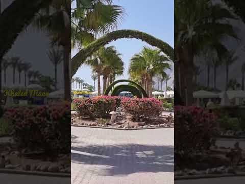 Ägypten 🇪🇬 Hotel Happy Life Village Dahab South Sinai-Egypt 🇪🇬🇪🇬🇪🇬🇪🇬