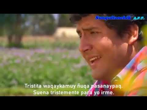 Porfirio Ayvar   Expreso Puquio quechua   español