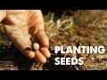 PLANTING SEEDS: A Song of Life | Empty Hands Music | nimo feat. daniel nahmod