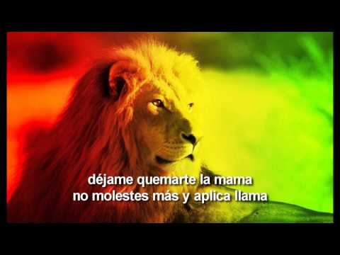 Zona Ganjah - Mi Flow (con letra)