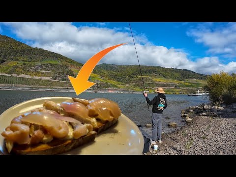 Angeln auf Zander und Barbe, bis wir Fische zum Essen haben / Catch and Cook - Bis es beißt Ep. 10