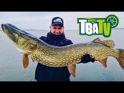 TBA 62 - – Kapitale Winterhechte, urige Arapaimas & große Events 2026