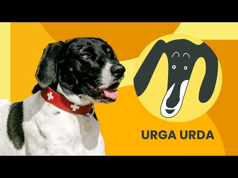 URGA URDA | Liepa un Loja | 1. sezona 1. sērija