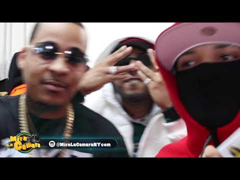 DOWBA MONTANA ❌ LITO KIRINO ❌ NELLY NELZ - TOY MARIO NO LUIGI (DETRÁS DE CÁMARA)