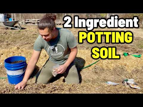 Compost Extract vs. Direct Application: Which is Better?