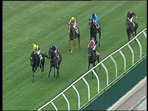 Galoppo 11/05/2016 - 1° corsa