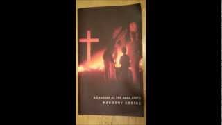 A Crackup At The Race Riots by Harmony Korine.