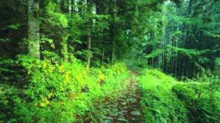 Andreas Vollenweider - Steam Forest