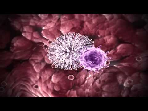 Influenza 3D Animation