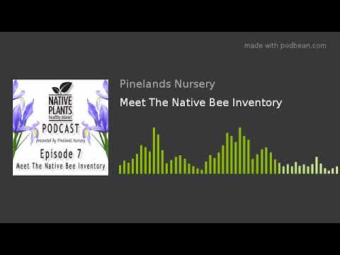 Native Plants, Healthy Planet: Episode 7 - Meet The Native Bee Inventory