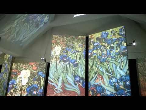 Laura trendy walks nr 27