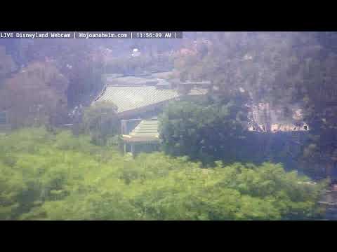 Live webcam of Disneyland Cam