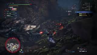 【モンハン】参加型！導きしょうきの谷レベル上げ