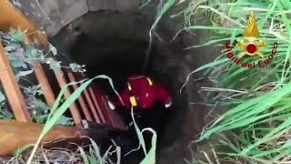 Cane da caccia si perde a Brindisi, i vigili del fuoco lo recuperano da un pozzo