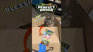 NEW METHOD! Cat Blessing for Meowth SIR Luck! 🐱 | CatPacks Ep. 5  #pokemon #pokémon #pokemoncards
