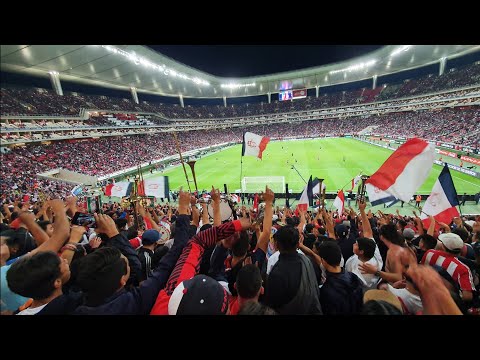 "Sigue viviendo de ilusiones" Barra: La Irreverente &bull; Club: Chivas Guadalajara