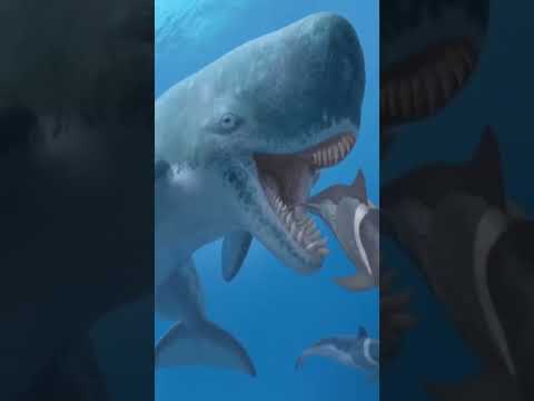 The Strongest Rival 💪🏻 The Megalodon Ever Had 🦈 #short #youtubeshort #youtube