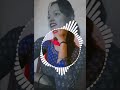 Ye Ji Suna New Gadwali Song ️ Minirawat3748