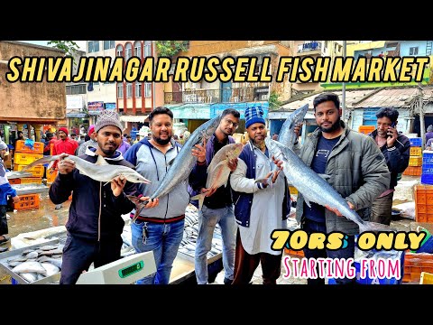 Wholesale Seafood Market Bangalore Russell Fish Market Shivaji Nagar Bangalore
