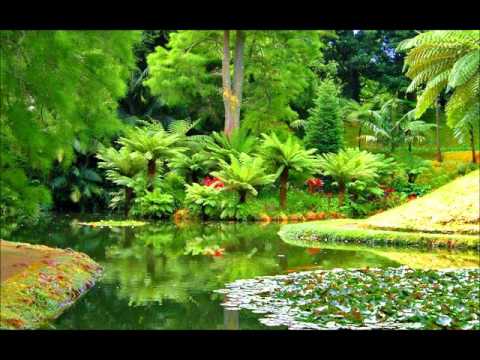 Kuliru vilkkumee-(Ulsavagaanangal)