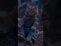 Old Frail Cat Catshorts