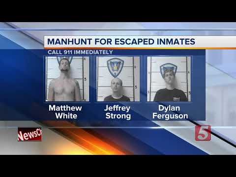Macon County Jail Search