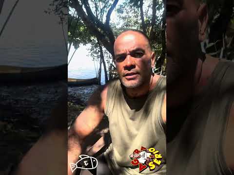 BORA BAHIA REPÓRTER FAVELA COMER UM PEIXE