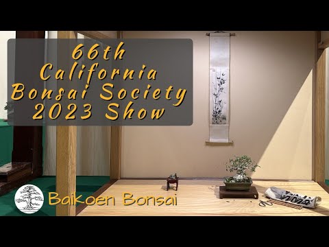 California Bonsai Society (CBS) 2023 Show - Bonsai Exhibition - Baikoen Bonsai Club -
