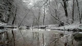 Modest Mouse - Grey Ice Water (cover w/ lyrics)