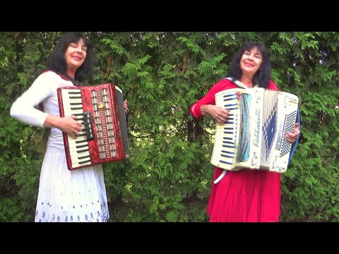 Wiesia Dudkowiak  - Accordion Melody