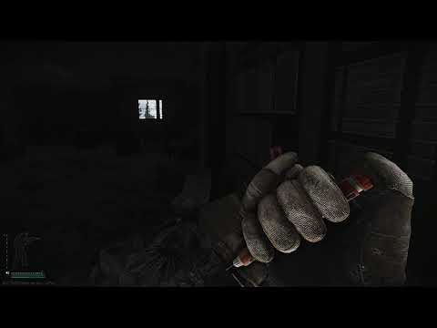 How to kill NEW boss Sanitar + LOOT Shoreline - Escape From Tarkov