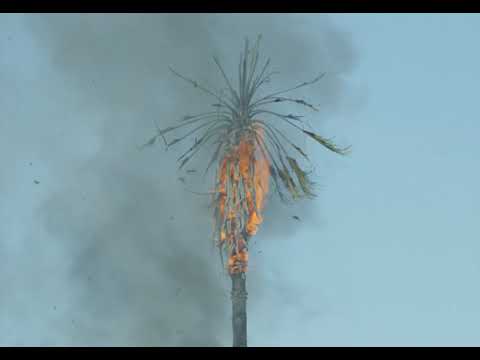 Cold War Kids - Catch Me Falling (Visualizer)