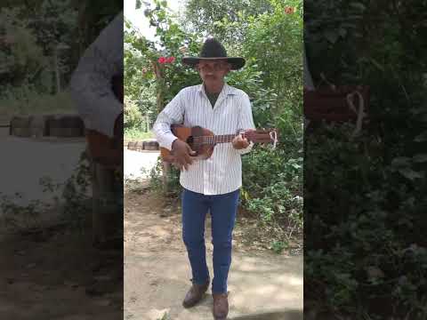 Peregrino Del Folklore