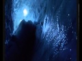 Paul Meschi Arctic Wolf End Credits