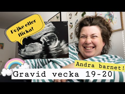 Tjock och gravid vecka 19-20! Andra barnet. Rutinultraljud och får veta könet på bebisen.
