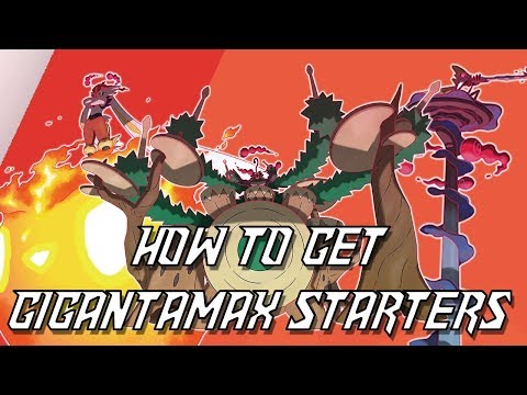 HOW TO GET GIGANTAMAX STARTER POKEMON [GALAR STARTERS]