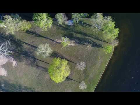 Lake Linda   Cochran Georgia