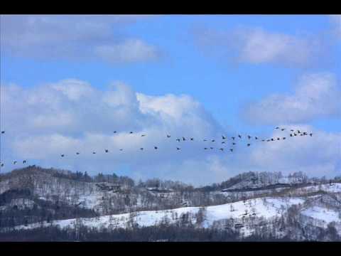 DJ Eco 【And We Flew Away】 (original mix) Full Ver.