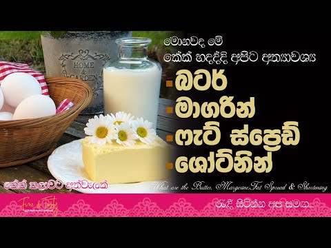බටර්,මාගරින්,ෆැට් ස්ප්‍රෙඩ් සහ වෙජිටබල් ශෝර්ට්නින්|About Butter & Shortening|Cake For Beginners|Mawo