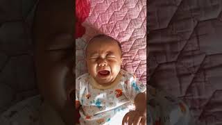 Download lagu HISTERIS!!! bayi menangis 😭😭😭😭 #shorts mp3