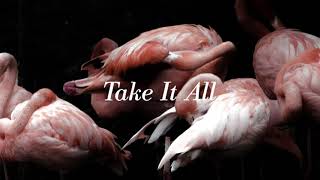 Iceage - Take It All