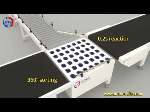 winroller motorized roller/conveyor roller/drum motor for sorting machine and belt conveyor.