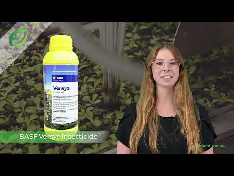 BASF Versys Insecticide