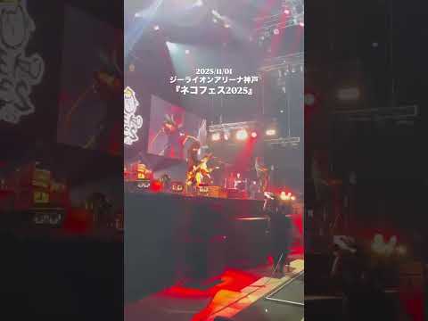 11/1 @ GLION ARENA KOBE「ネコフェス2025」「ハートに火をつけて」