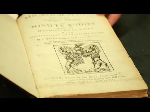 Natural Histories: Scientific Illustration on Display