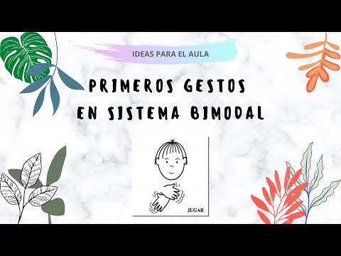Cómo signar Sistema Stokoe en LSE