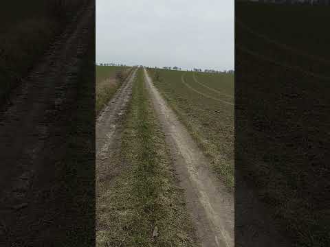 Projektowane skrzyżowanie zwykłe km 0+440,35 proj DP nr 1375F