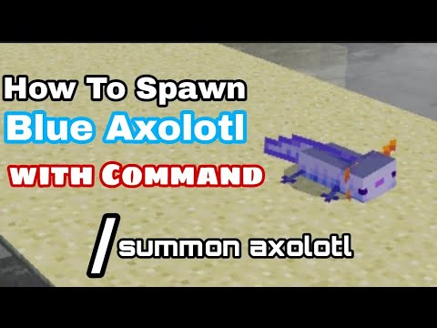 How to Spawn blue axolotl with Command in Minecraft.