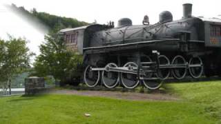 preview picture of video 'metal detecting locodigger  in Haliburton Ontario second large penny'