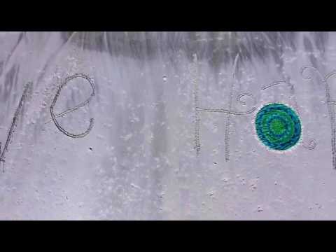 Natural Life Beach Day